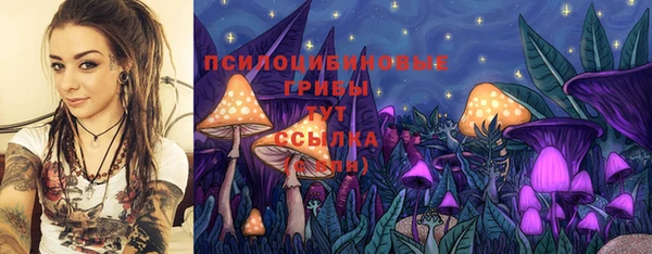 мяу мяу мука Богородицк